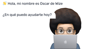 Wize SEO